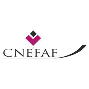 Expert immobilier Paris